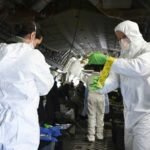 Coronavirus: psicosi o precauzione, si può fermare adesso transportation isolation system